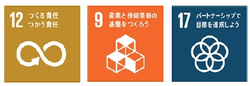 SDGs 12 9 17
